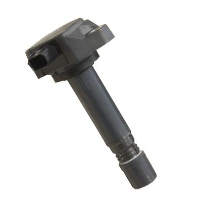 Ignition Coil Hueco