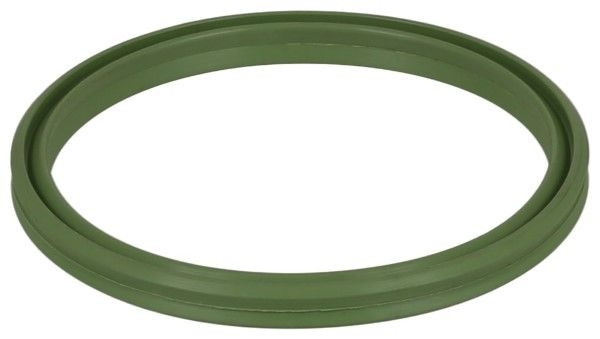 Seal ring, charge air hose