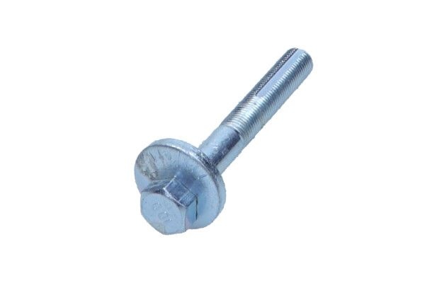 Camber Correction Screw