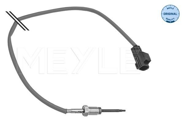 Ford Sensor Exhaust Gas Temperature