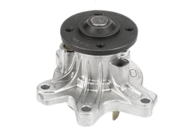 Graf Vattenpump Pa890