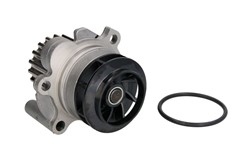 INA Water pump Number of Teeth: 19 538 0089 10 Engine water pump,Water pump for engine VW,AUDI,FORD,Golf IV Schrägheck (1J1),Golf V Schrägheck (1K1)