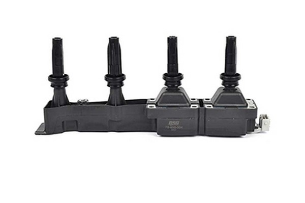 Citroen Ignition Coil Bsg 70-835-004