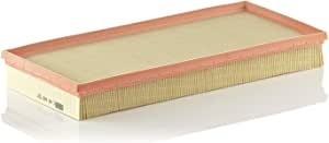 MANN-FILTER Air filter Filter Insert C 40 163 Engine air filter,Engine filter MERCEDES-BENZ,A-Klasse (W169),B-Klasse (W245)