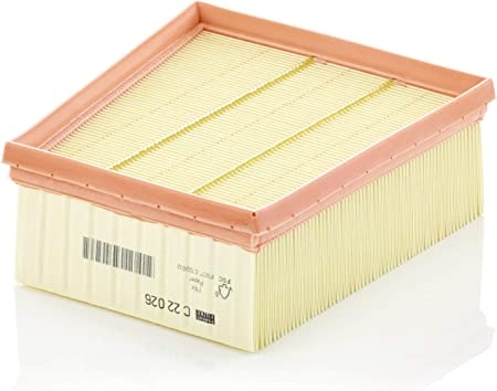MANN-FILTER Air filter RENAULT,NISSAN C 22 026 2000940400,A2000940400,1654600Q4G Engine air filter,Engine filter 165460543R,165467860R