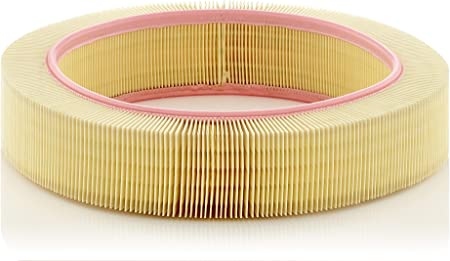MANN-FILTER Air filter Filter Insert C 40 174 Engine air filter,Engine filter MERCEDES-BENZ,S-Klasse Limousine (W126),SL (R107),G-Klasse SUV (W463)