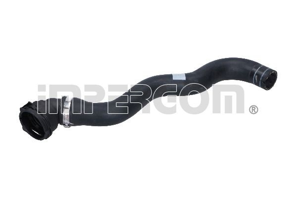 Fiat Radiator Hose