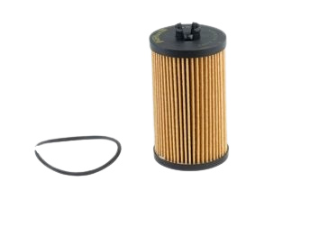 PURFLUX Oil filter OPEL,CHEVROLET,VAUXHALL L1077 55588497,55588497,95526687 Engine oil filter 55588497,650163,95526687,FH1179,55588497,95526687