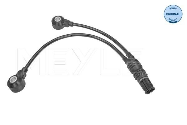 Bmw Knock Sensor
