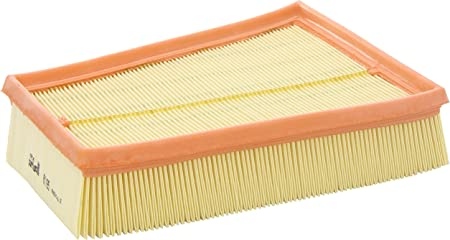PURFLUX Air filter Filter Insert A1195 Engine air filter,Engine filter RENAULT,SCÉNIC II (JM0/1_),MEGANE II Coupé-Cabriolet (EM0/1_)