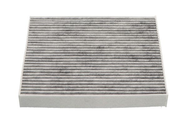 Filter, interior air HC-8244C Amc Filter