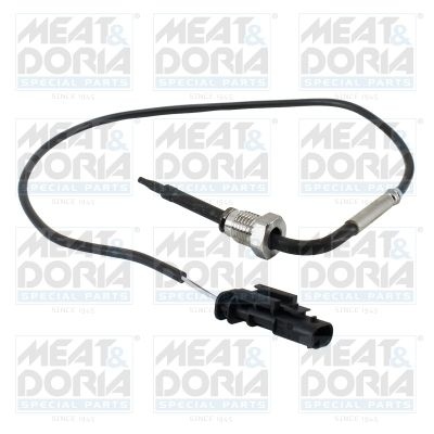 Sensor, exhaust gas temperature