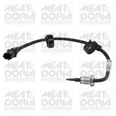 Sensor, exhaust gas temperature