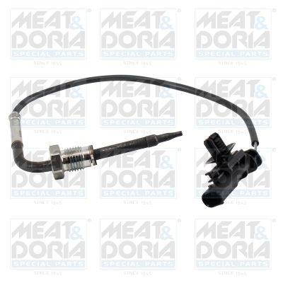 Sensor, exhaust gas temperature