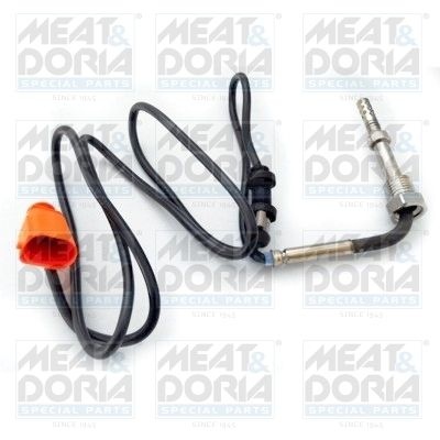 Sensor, exhaust gas temperature