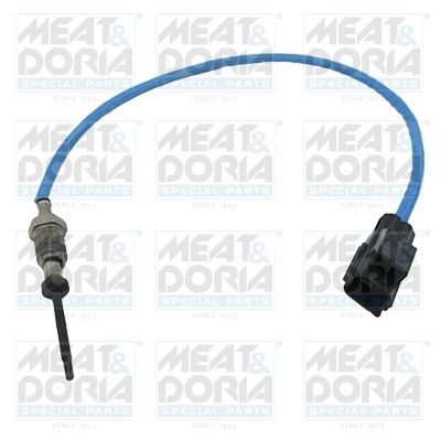 Sensor, exhaust gas temperature