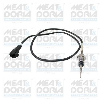 Sensor, exhaust gas temperature