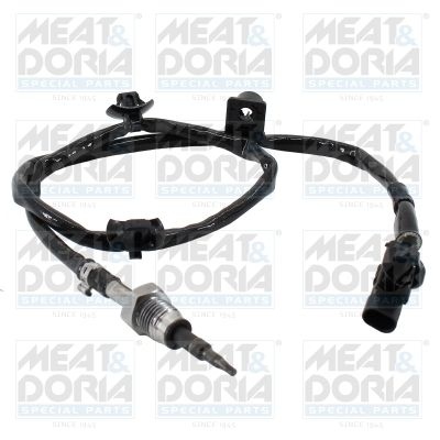 Sensor, exhaust gas temperature