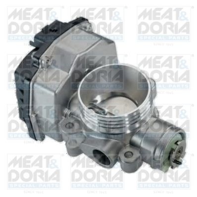 Throttle body