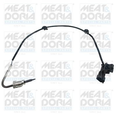 Sensor, exhaust gas temperature