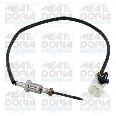 Sensor, exhaust gas temperature