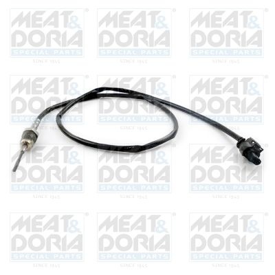 Sensor, exhaust gas temperature