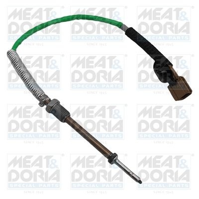 Sensor, exhaust gas temperature