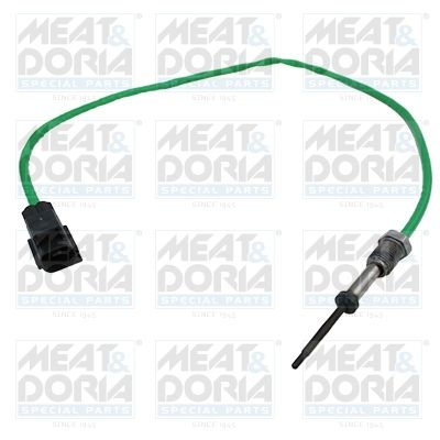 Sensor, exhaust gas temperature