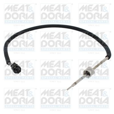 Sensor, exhaust gas temperature