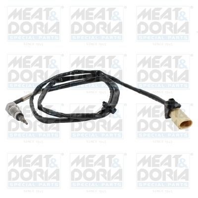 Sensor, exhaust gas temperature