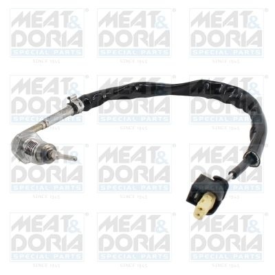 Sensor, exhaust gas temperature