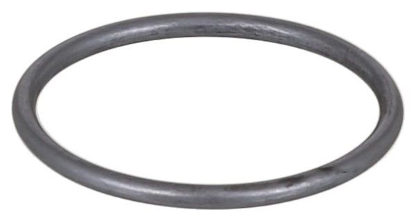 Sealing ring 339. Elring