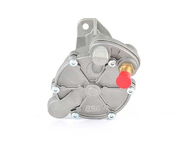 Bsg Vakuumpump Bromssystem