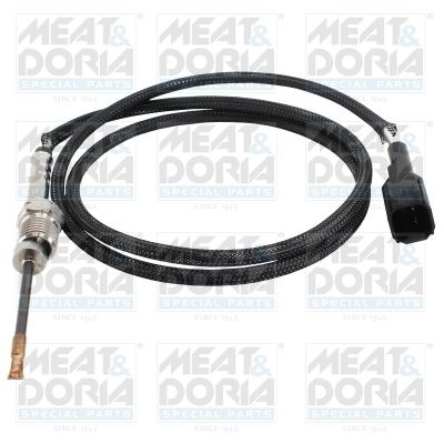 Sensor, exhaust gas temperature