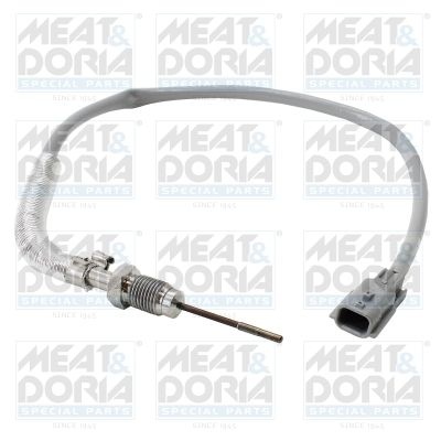 Sensor, exhaust gas temperature