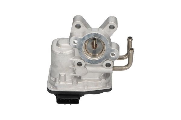 EGR Valve EEG-6505 Kavo Parts