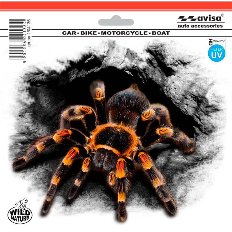 Car Tattoo Sticker Spider - 18.3x15.5cm