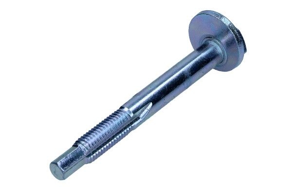 Camber correction screw