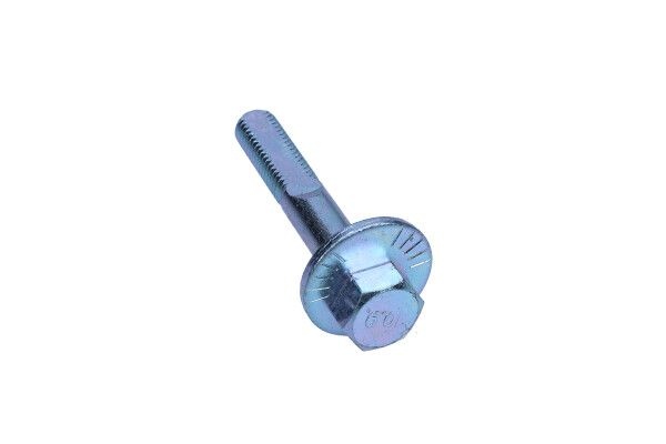 Camber correction screw