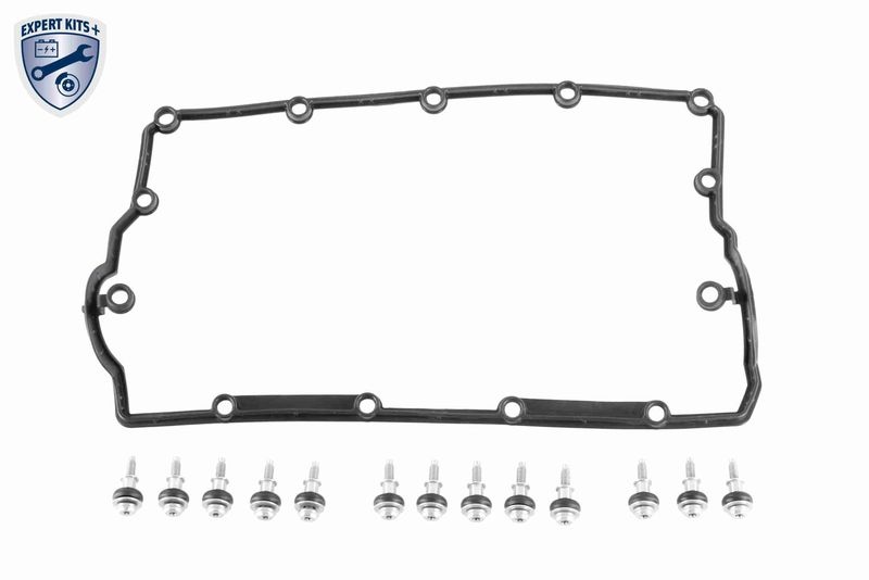 VAICO Rocker Cover VW,AUDI,SKODA V10-5980 038103469AD,038103469AH,038103469AD Valve Cover,Camshaft Cover 038103469AH,038103469AD,038103469AH,38103469G