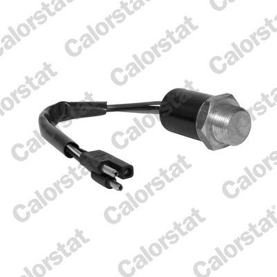 CALORSTAT by Vernet Temperature Switch, radiator fan FIAT,SEAT,PEUGEOT TS1956 126410,ZF05934064,ZF05934064 5934064,5934084,5951524,5934064,5934084