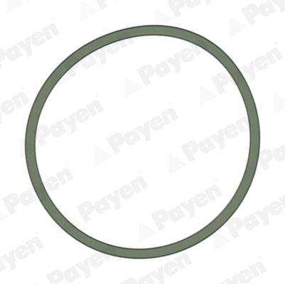 Gasket, Intake Manifold JD5228 Payen