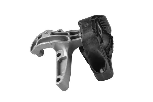 Renault Axle Body/Engine Support Bearing