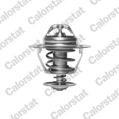 Ford Thermostat Coolant