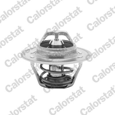 Ford Thermostat Coolant
