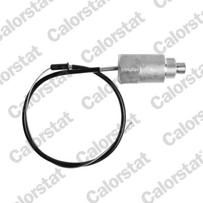 CALORSTAT by Vernet Idle Control Valve RENAULT,PEUGEOT,CITROËN FI1482 124753,124758,164753 Idle Air Control Valve,Idle Control Valve, air supply