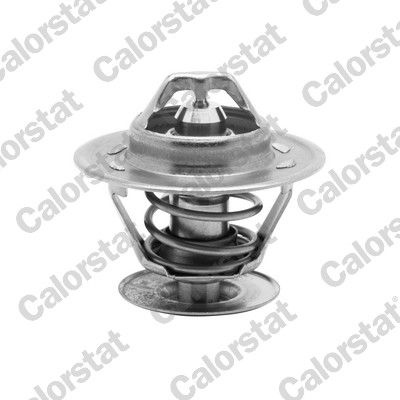 Ford Thermostat Coolant