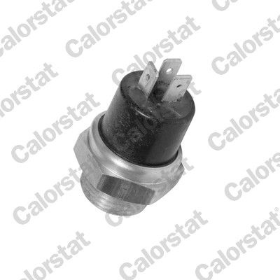 Citroen Temperature Switch Radiator Fan