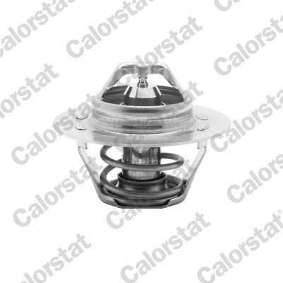 CALORSTAT by Vernet Engine thermostat RENAULT,FIAT,PEUGEOT TH5108.89J 133727,133811,133844 7910011880,96049146,96049156,96050286,9605708780,96057136