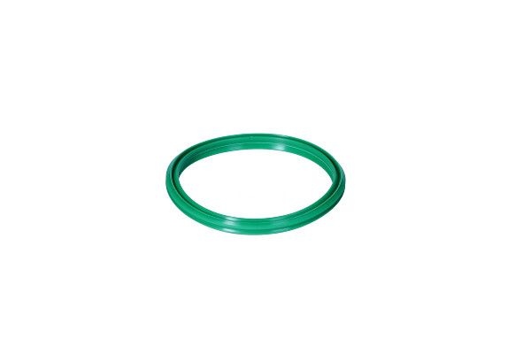 Sealing ring, charge air hose